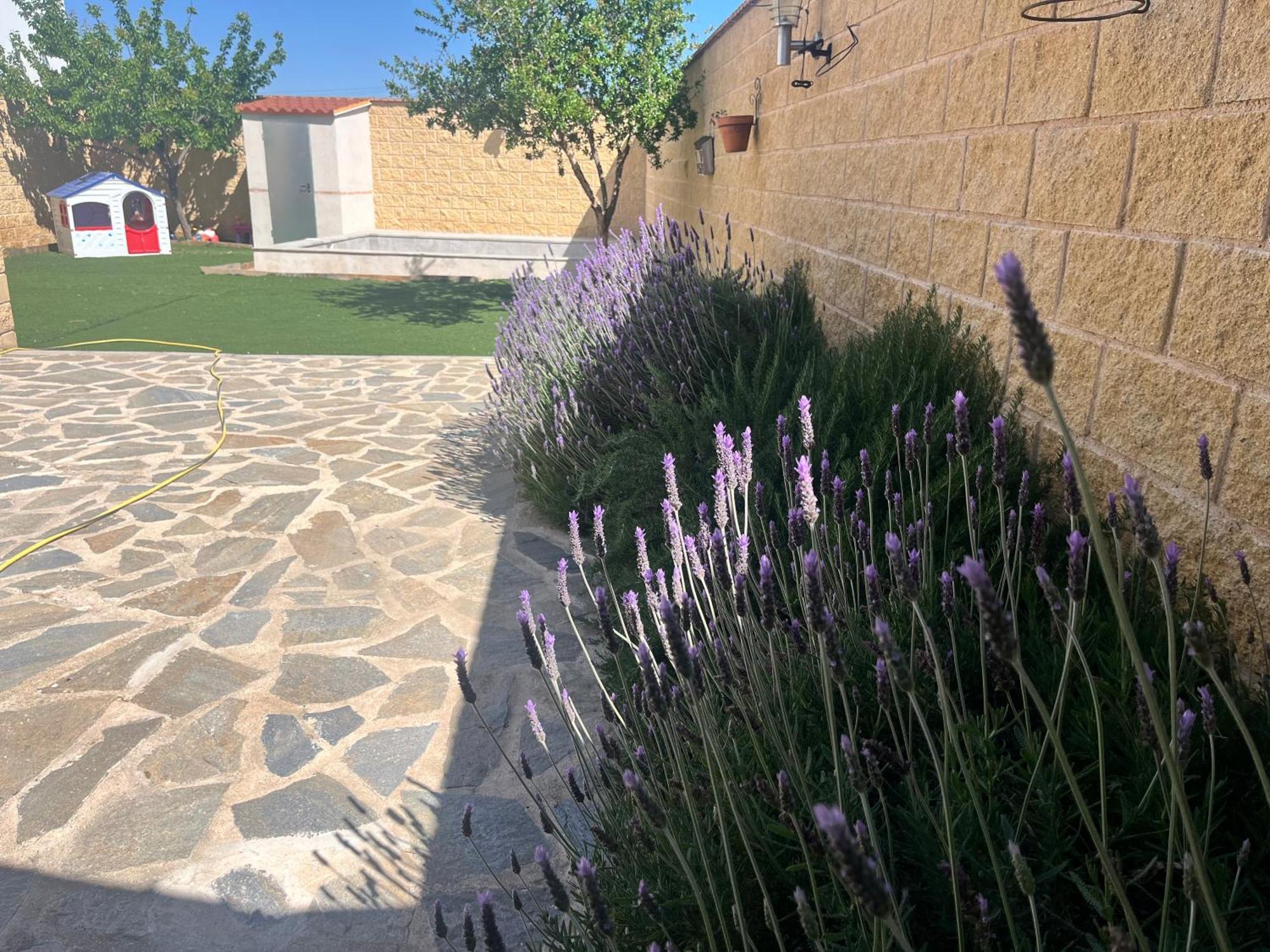 Casa Rural Valentina Almonacid de Toledo Exteriör bild