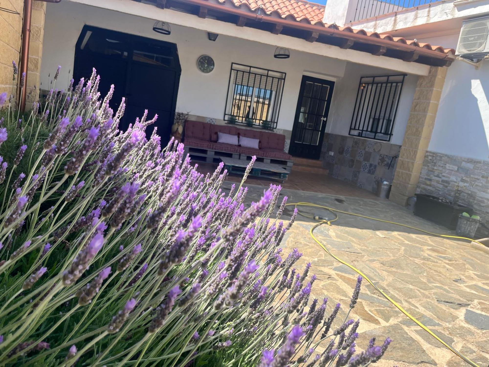 Casa Rural Valentina Almonacid de Toledo Exteriör bild